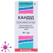 Кандід