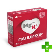 Панцикор