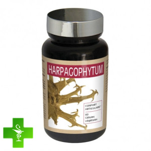 Nutri expert гарпагофітум
