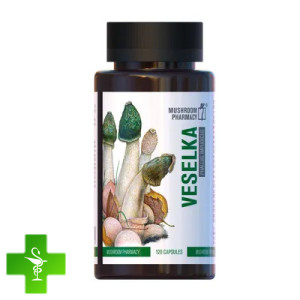 Гриб Радуга Mushroom Pharmacy Veselka