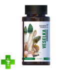 Гриб Радуга Mushroom Pharmacy Veselka
