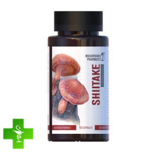 Гриб Шиитаке