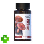 Гриб Шиитаке