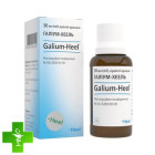 Галиум-хеель